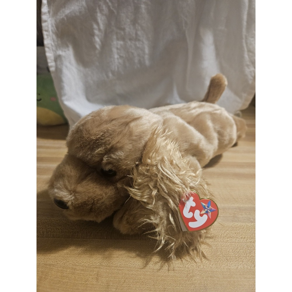 TY SPUNKY the DOG BEANIE BUDDY - MINT with MINT TAGS